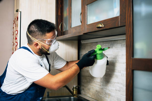 Pest Prevention Services in Renova, MS
