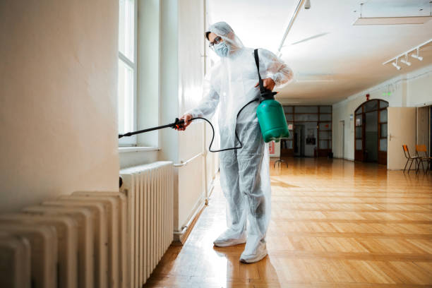 Best Termite Control Services  in Renova, MS