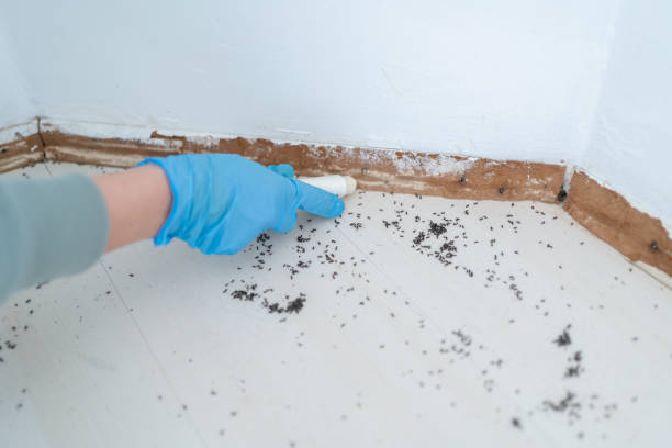 Trusted Renova, MS Pest Control Experts
