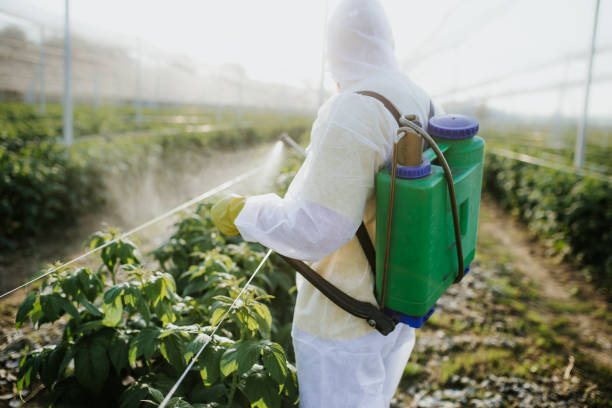 Best Insect Control  in Renova, MS